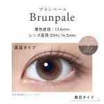 【ブランペール】Sincere 1day S Cleche 1day シンシアワンデーSクレシェ ワンデー 1箱30枚入り[シンシア] 画像2