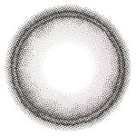 【スワングレー】Angel Color Baｍbi series monthly エンジェルカラーバンビシリーズ マンスリー 1箱2枚入り[T-Garden] 画像3