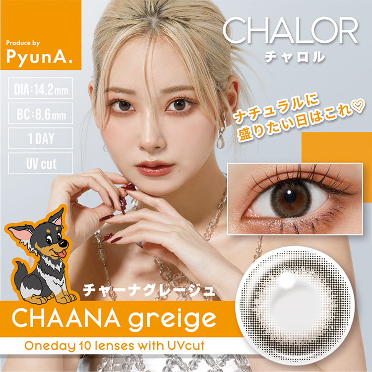 【チャーナグレージュ】CHALOR 1day チャロル1day ワンデー 1箱10枚入り[アミジェス]