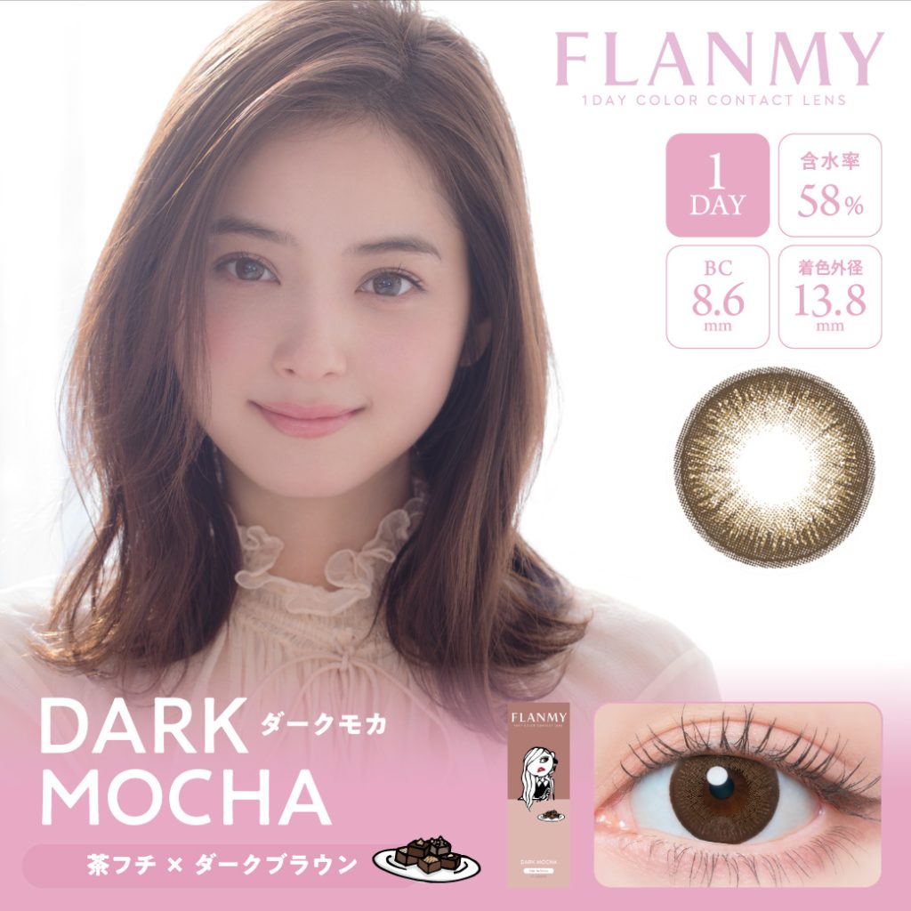 【ダークモカ】FLANMY 1DAY フランミー ワンデー 10枚[T-Garden]