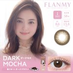【ダークモカ】FLANMY 1DAY フランミー ワンデー 10枚[T-Garden]