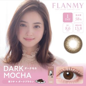 【ダークモカ】FLANMY 1DAY フランミー ワンデー 10枚[T-Garden]