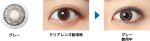 【グレー】Freshlook ONE DAY COLOR フレッシュルック ワンデー カラー 10枚[アルコン] 画像2