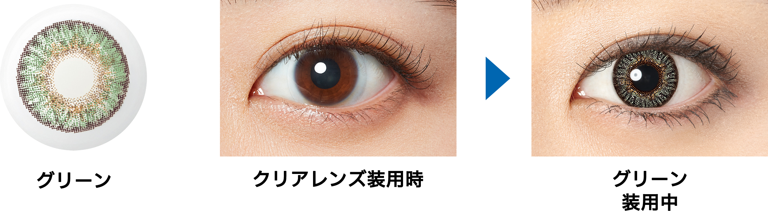 【グリーン】Freshlook ONE DAY COLOR フレッシュルック ワンデー カラー 10枚[アルコン] 画像2