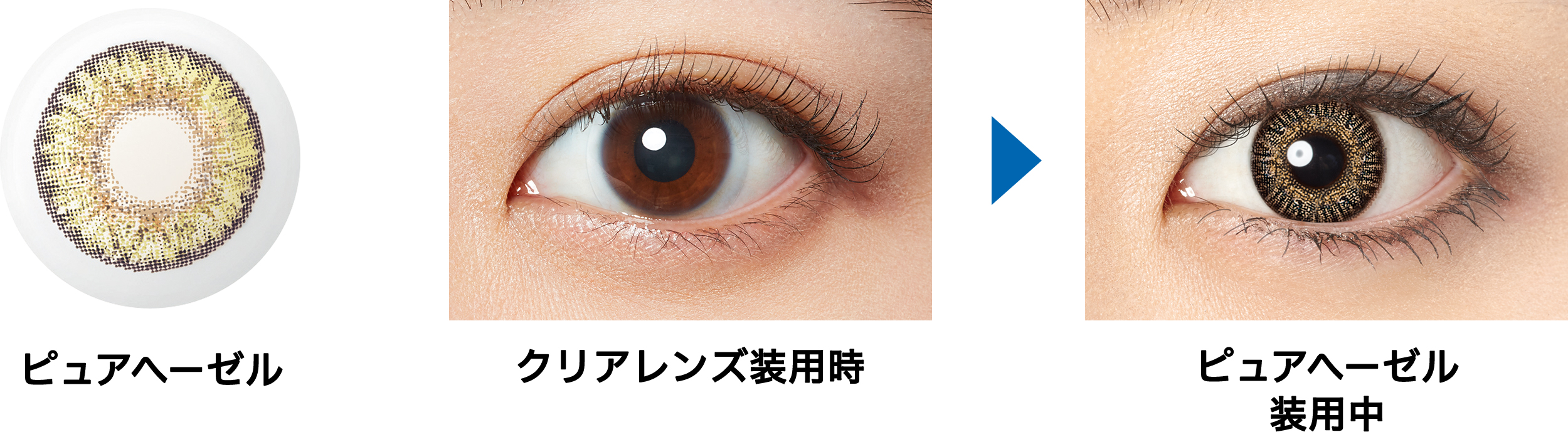 【ピュアヘーゼル】Freshlook ONE DAY COLOR フレッシュルック ワンデー カラー 10枚[アルコン] 画像2