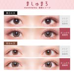 【ましゅまろ】Flurry Monthly フルーリー ワンマンス 3枚 [Wscale] 画像4