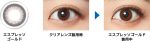 【エスプレッソゴールド】フレッシュルックデイリーズ イルミネート30枚[チバビジョン・アルコン] 画像3