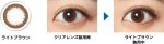 【ライトブラウン】フレッシュルックデイリーズ イルミネート30枚[チバビジョン・アルコン] 画像2