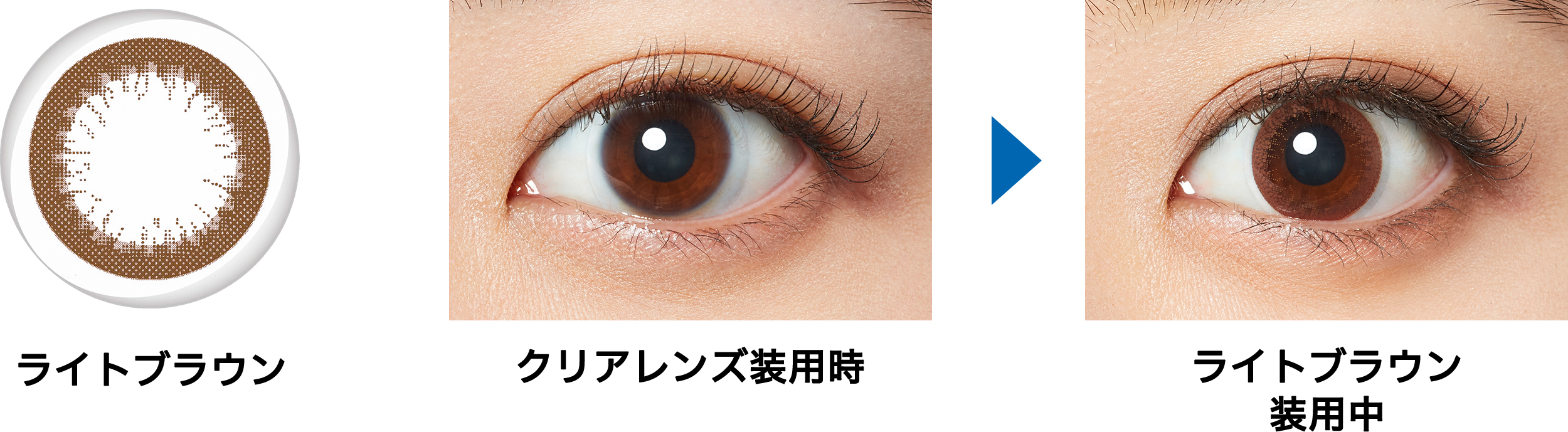 【ライトブラウン】フレッシュルックデイリーズ イルミネート30枚[チバビジョン・アルコン] 画像2