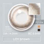 【ロイブラウン】CHALOR 1day チャロル1day ワンデー 1箱10枚入り[アミジェス] 画像3
