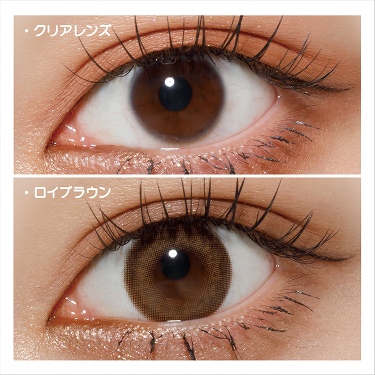 【ロイブラウン】CHALOR 1day チャロル1day ワンデー 1箱10枚入り[アミジェス] 画像2