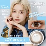 【ロイブラウン】CHALOR 1day チャロル1day ワンデー 1箱10枚入り[アミジェス]