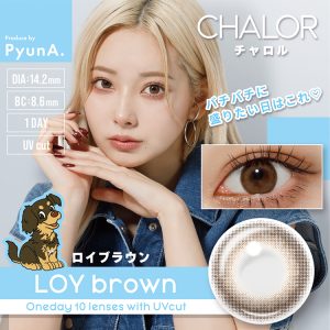 【ロイブラウン】CHALOR 1day チャロル1day ワンデー 1箱10枚入り[アミジェス]