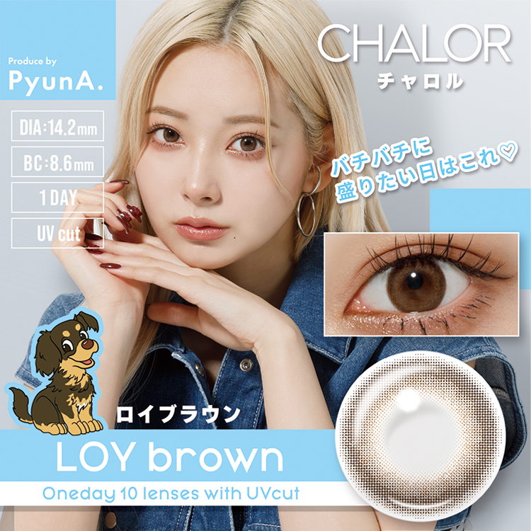 【ロイブラウン】CHALOR 1day チャロル1day ワンデー 1箱10枚入り[アミジェス]