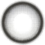 【アリアグレー】RIARIA 1day リアリア ワンデー 1箱10枚入り［Lcode］ 画像3