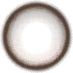 【シリアルベージュ】RIARIA 1day リアリア ワンデー 1箱10枚入り［Lcode］ 画像3