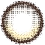 【リアリーブラウン】RIARIA 1day リアリア ワンデー 1箱10枚入り［Lcode］ 画像3