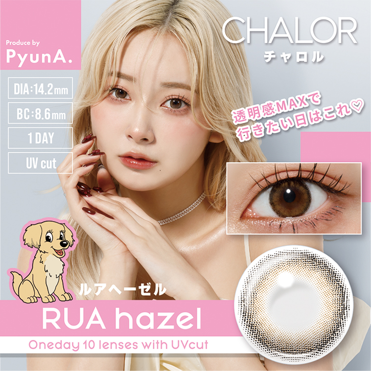 【ルアヘーゼル】CHALOR 1day チャロル1day ワンデー 1箱10枚入り[アミジェス]
