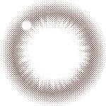 【ベーシックバリア】レヴィアワンデーBLB 10枚 画像3
