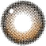 【バターブラウン】secret candymagic 1day 新シークレット キャンディーマジック ワンデー 1箱20枚［Lcode］ 画像3