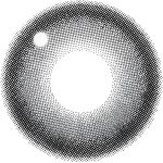 【プルモグレー】secret candymagic 1day 新シークレット キャンディーマジック ワンデー 1箱20枚［Lcode］ 画像3