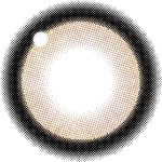 【ラメブラウン】secret candymagic 1day 新シークレット キャンディーマジック ワンデー 1箱20枚［Lcode］ 画像3