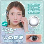 【しめさば】treatee 1day とりーてぃー ワンデー 1箱10枚入り[アミジェス]