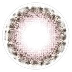 【ばさし】treatee 1day とりーてぃー ワンデー 1箱10枚入り[アミジェス] 画像3