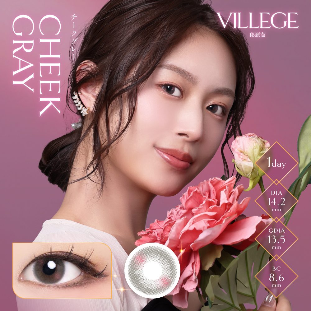【チークグレー】VILLEGE 1day ヴィレジェ ワンデー 1箱10枚入り［双葉貿易］