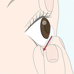 黒目と白目の境は少し段差があります