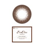 【ナチュラルブラウン】EverColor 1Month エバーカラー マンスリー 1箱2枚入り[AISEI] 画像4