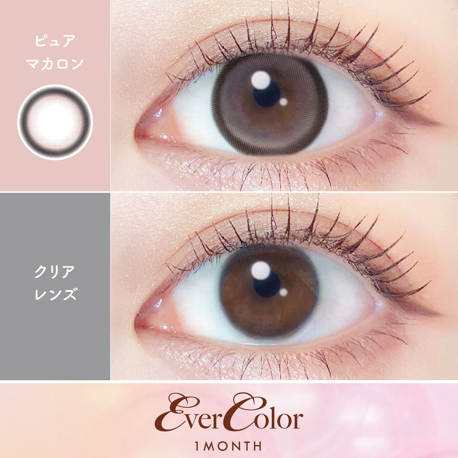 【ピュアマカロン】Ever Color 1Month エバーカラー マンスリー 1箱2枚入り[AISEI] 画像2