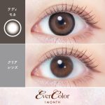 【テディモカ】EverColor 1Month エバーカラー マンスリー 1箱2枚入り[AISEI] 画像2