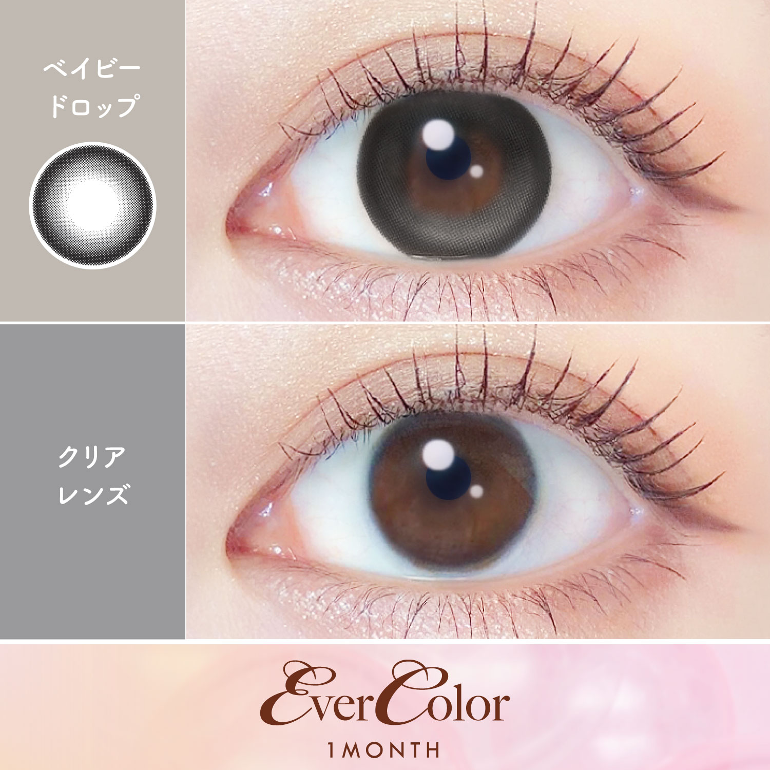 【ベイビードロップ】Ever Color 1Month エバーカラー マンスリー 1箱2枚入り[AISEI] 画像2