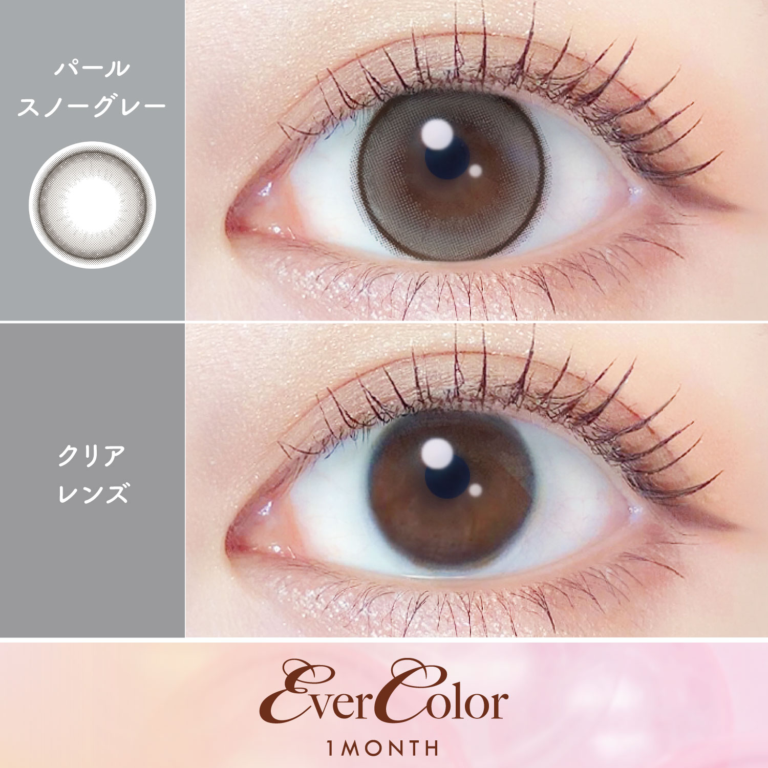 【パールスノーグレー】EverColor 1Month エバーカラー マンスリー 1箱2枚入り[AISEI] 画像2