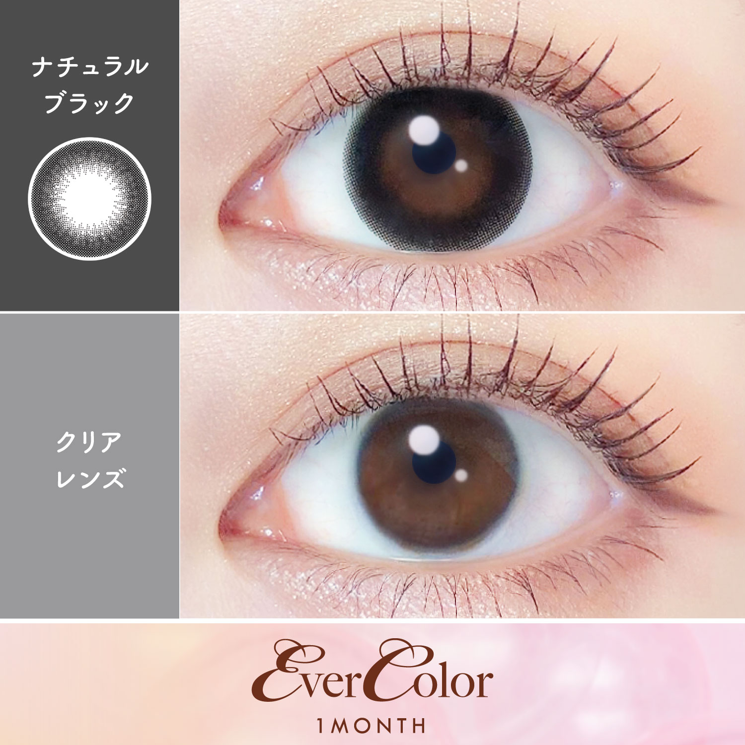 【ナチュラルブラック】EverColor 1Month エバーカラー マンスリー 1箱2枚入り[AISEI] 画像2