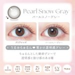 【パールスノーグレー】EverColor 1Month エバーカラー マンスリー 1箱2枚入り[AISEI] 画像3