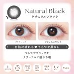 【ナチュラルブラック】EverColor 1Month エバーカラー マンスリー 1箱2枚入り[AISEI] 画像3
