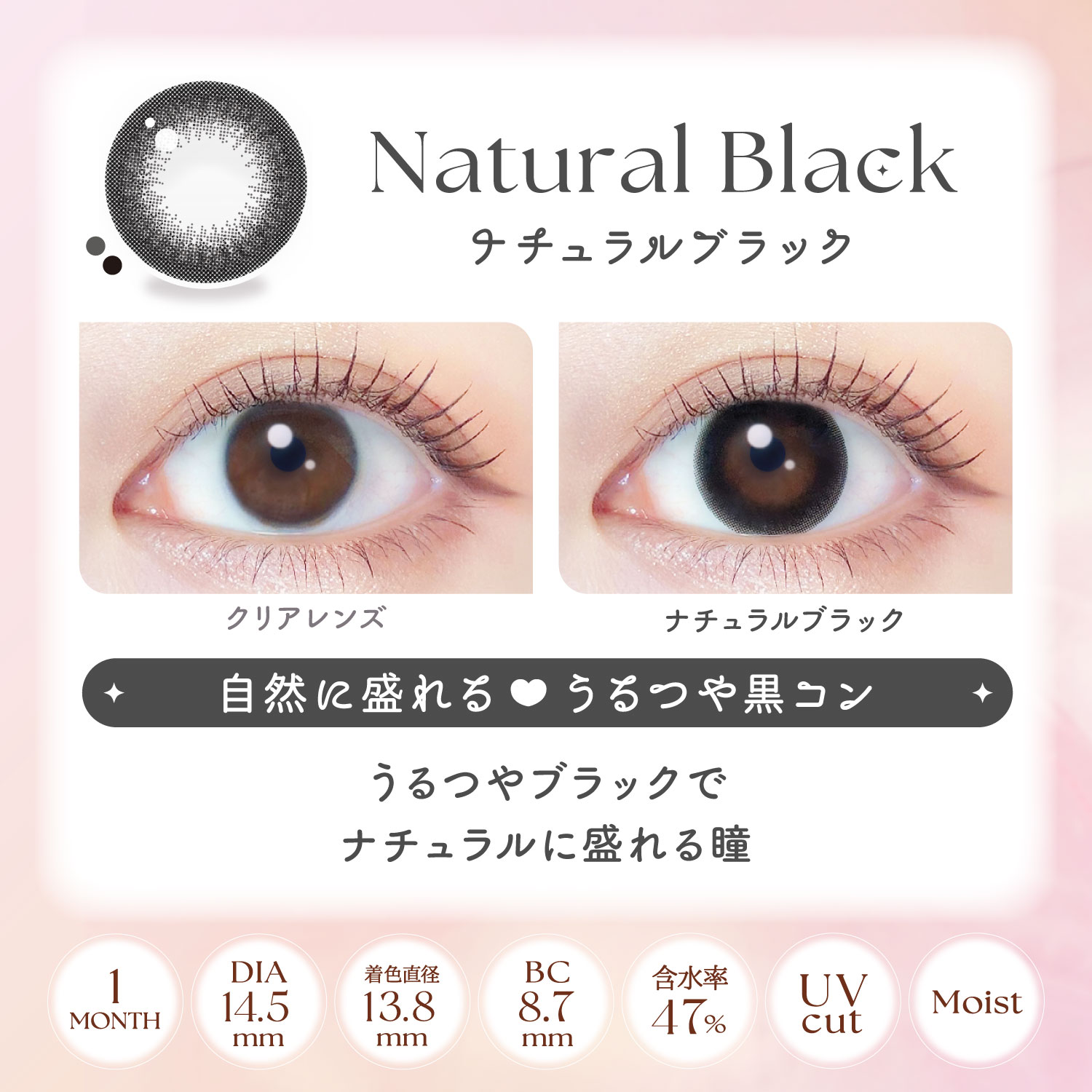 【ナチュラルブラック】EverColor 1Month エバーカラー マンスリー 1箱2枚入り[AISEI] 画像3