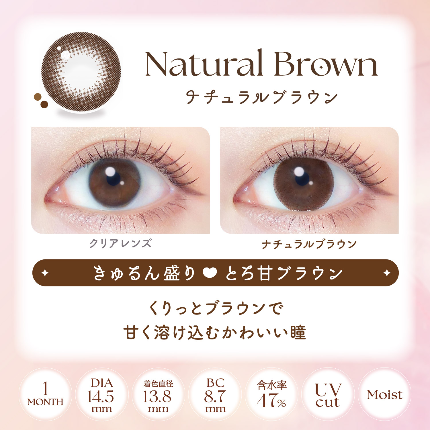 【ナチュラルブラウン】EverColor 1Month エバーカラー マンスリー 1箱2枚入り[AISEI] 画像3