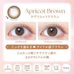 【アプリコットブラウン】EverColor 1Month エバーカラー マンスリー 1箱2枚入り[AISEI] 画像3