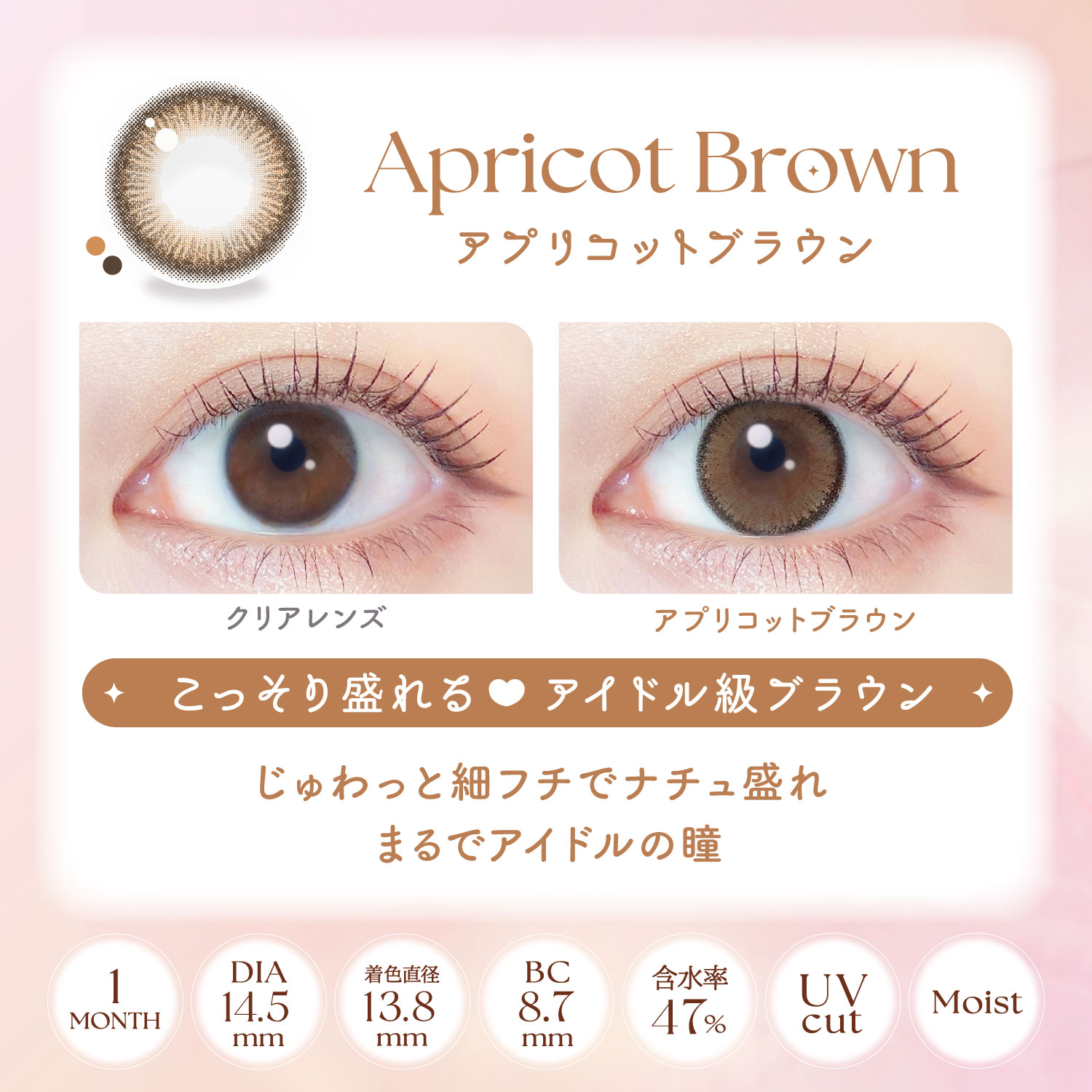 【アプリコットブラウン】EverColor 1Month エバーカラー マンスリー 1箱2枚入り[AISEI] 画像3