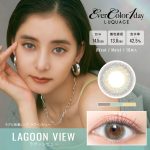 【ラグーンビュー】EverColor 1day LUQUAGE　エバーカラー ワンデー ルクアージュ 10枚[AISEI]