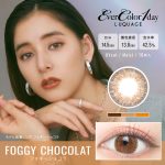 【フォギーショコラ】EverColor 1day LUQUAGE エバーカラー ワンデー ルクアージュ 10枚[AISEI]