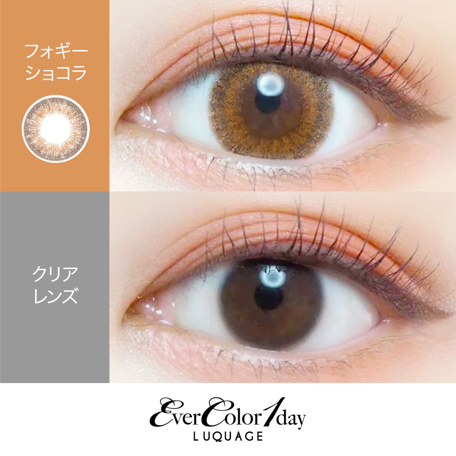 【フォギーショコラ】EverColor 1day LUQUAGE エバーカラー ワンデー ルクアージュ 10枚[AISEI] 画像2