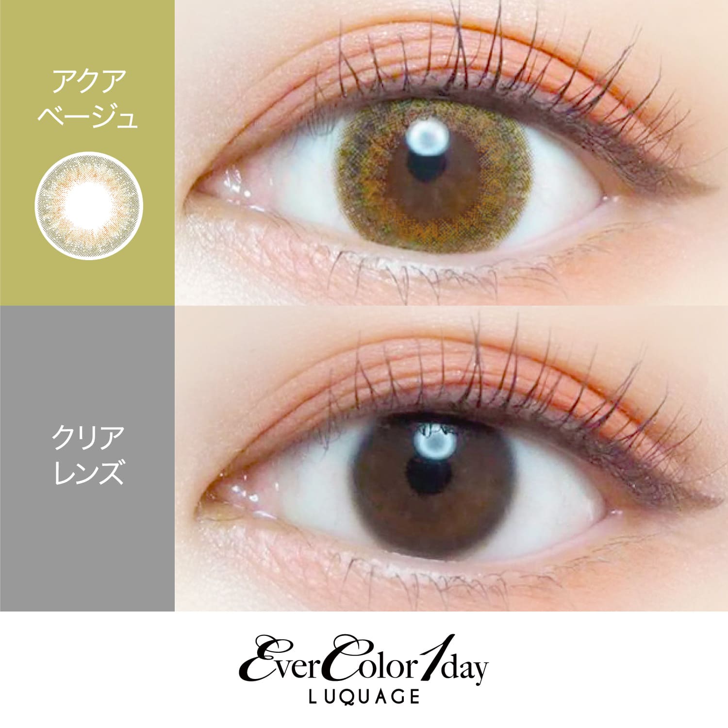 【アクアベージュ】EverColor 1day LUQUAGE エバーカラー ワンデー ルクアージュ 10枚[AISEI] 画像2
