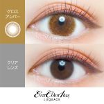 【グロスアンバー】EverColor 1day LUQUAGE エバーカラー ワンデー ルクアージュ 10枚[AISEI] 画像2