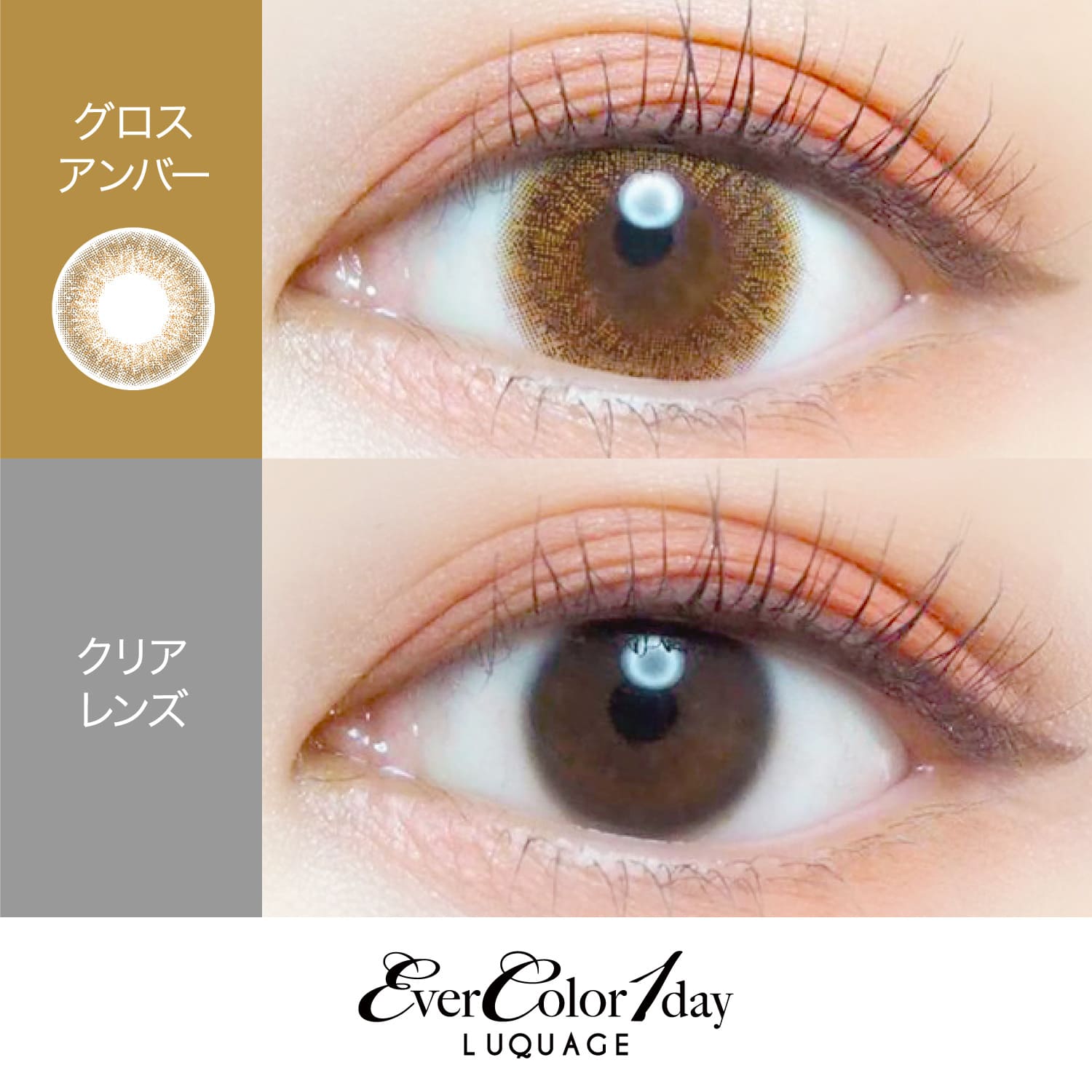 【グロスアンバー】EverColor 1day LUQUAGE エバーカラー ワンデー ルクアージュ 10枚[AISEI] 画像2