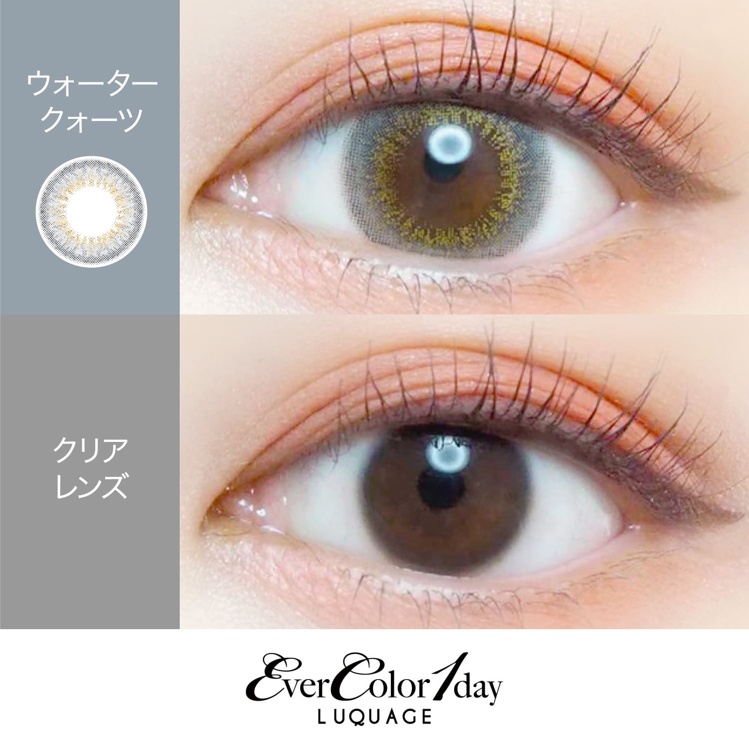 【ウォータークォーツ】EverColor 1day LUQUAGE エバーカラー ワンデー ルクアージュ 10枚[AISEI] 画像2