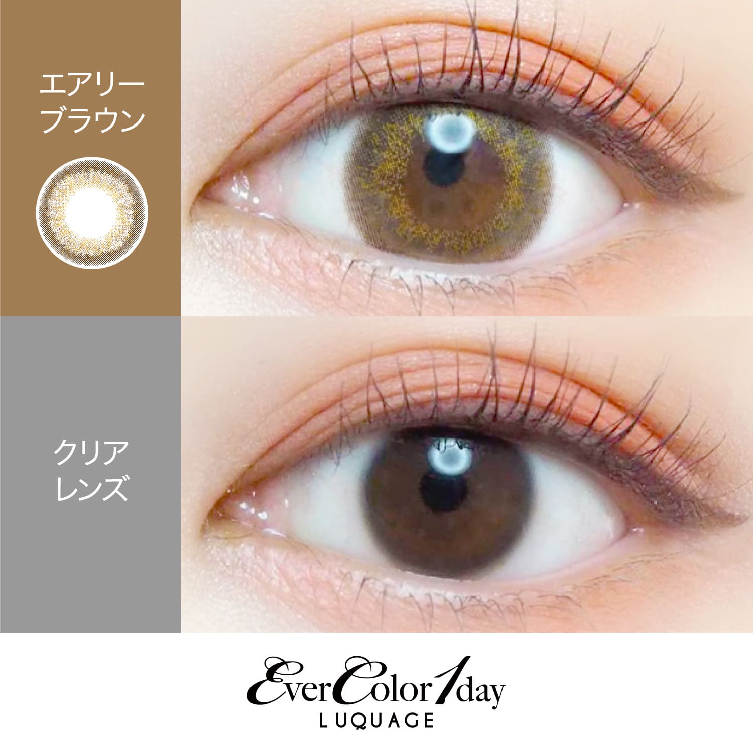 【エアリーブラウン】EverColor 1day LUQUAGE エバーカラー ワンデー ルクアージュ 10枚[AISEI] 画像2